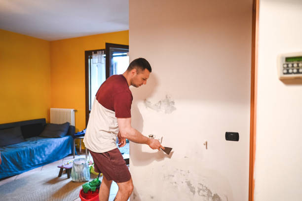 Best Mold Remediation Experts  in Lightstreet, PA