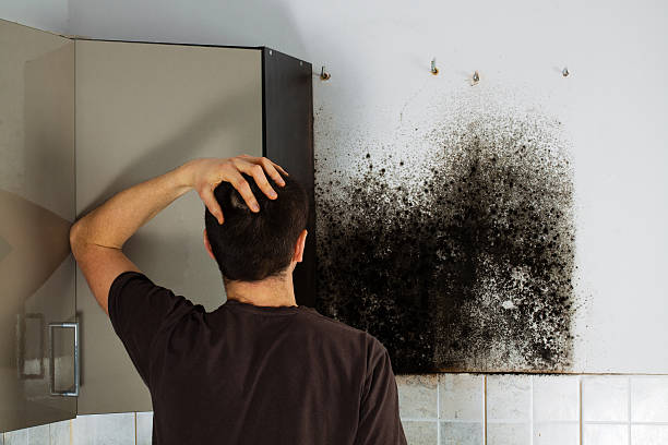 Best Attic Mold Removal  in Lightstreet, PA